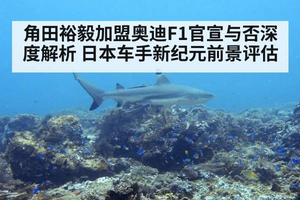 角田裕毅加盟奥迪F1官宣与否深度解析 日本车手新纪元前景评估